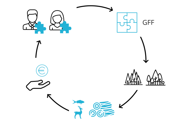 GFF (Groupement Foncier Viticole)