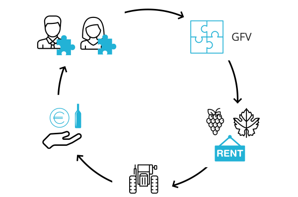 GFV : Groupement Foncier Viticole