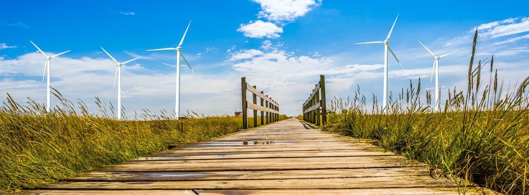 Investir dans les énergies renouvelables